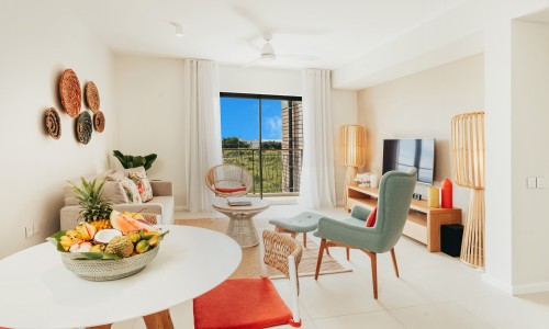 Appartement 1 Chambre
